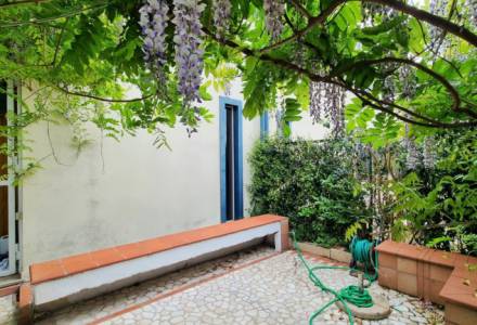 Terraced house with tavern and courtyard, Campomaggiore area