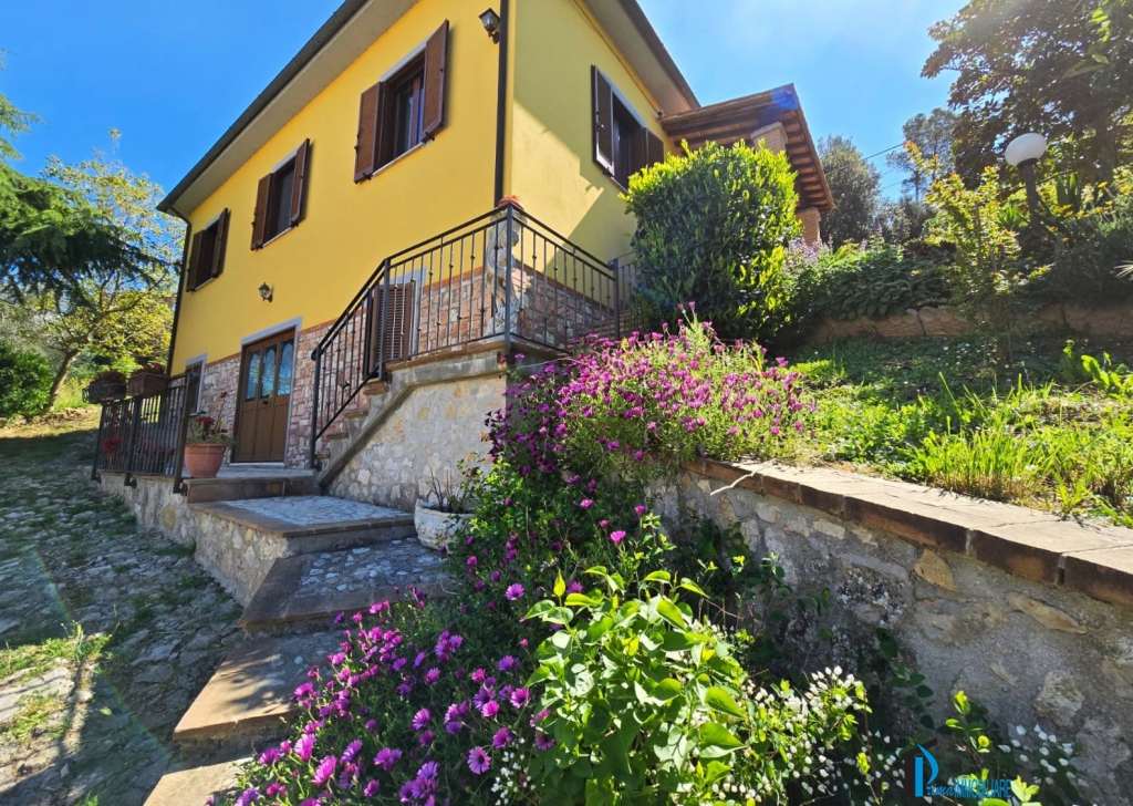 Villas and independent houses for sale , Narni, locality Vineyards of Narni