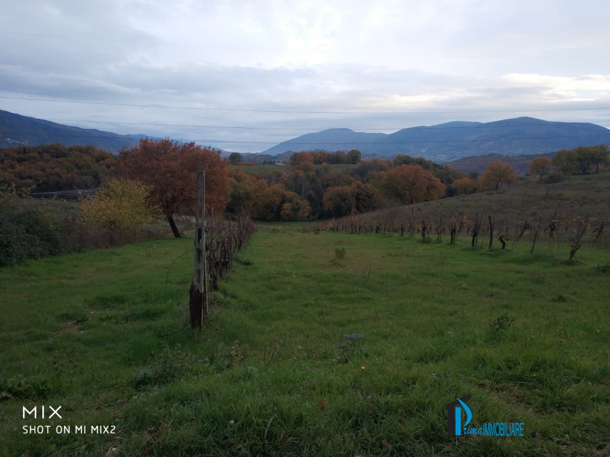 Vendita Terreno Agricolo Terni